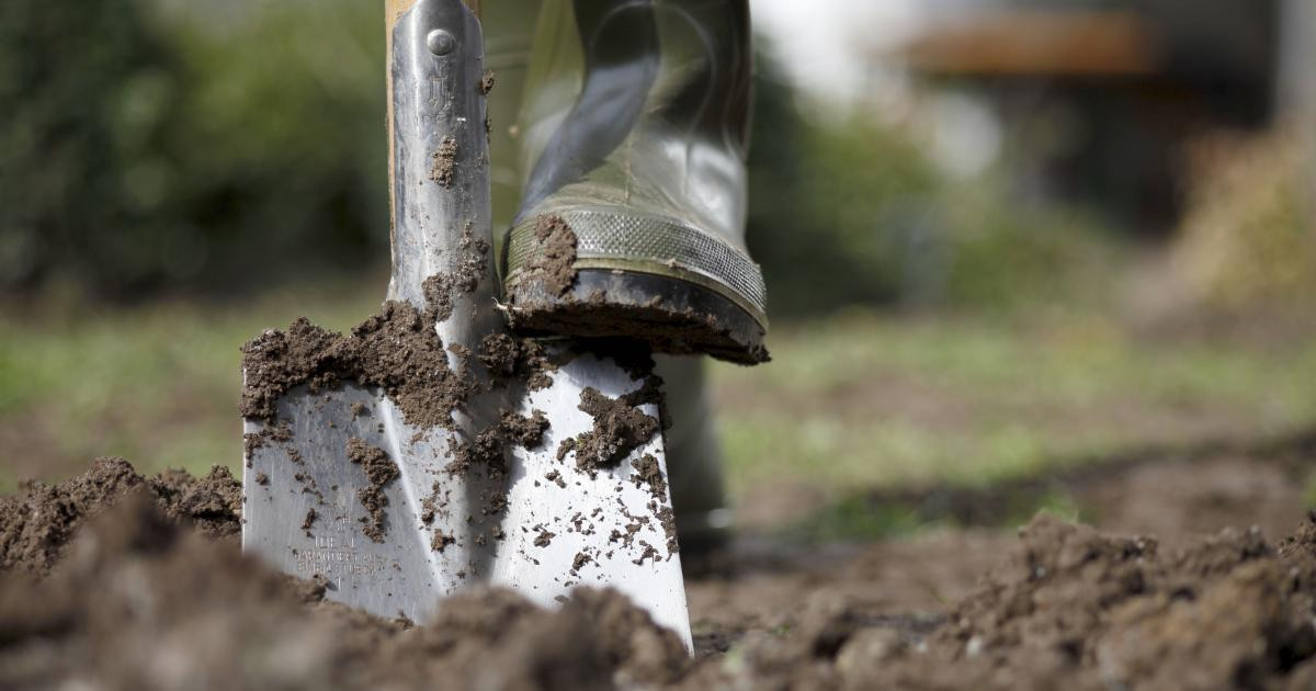 Garten Umgraben
 Umgraben Sinnvoll oder schädlich für den Boden Mein