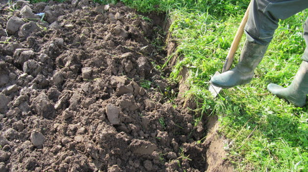 Garten Umgraben
 Garten umgraben Warum Wann Wie Womit Tipps