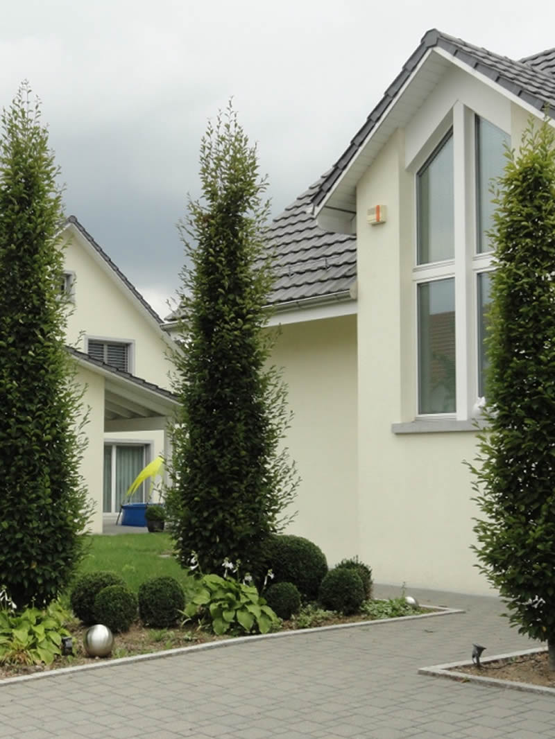 Garten Und Wohnen
 Landschaftsarchitektur Dietlikon Feng Shui Beratungen