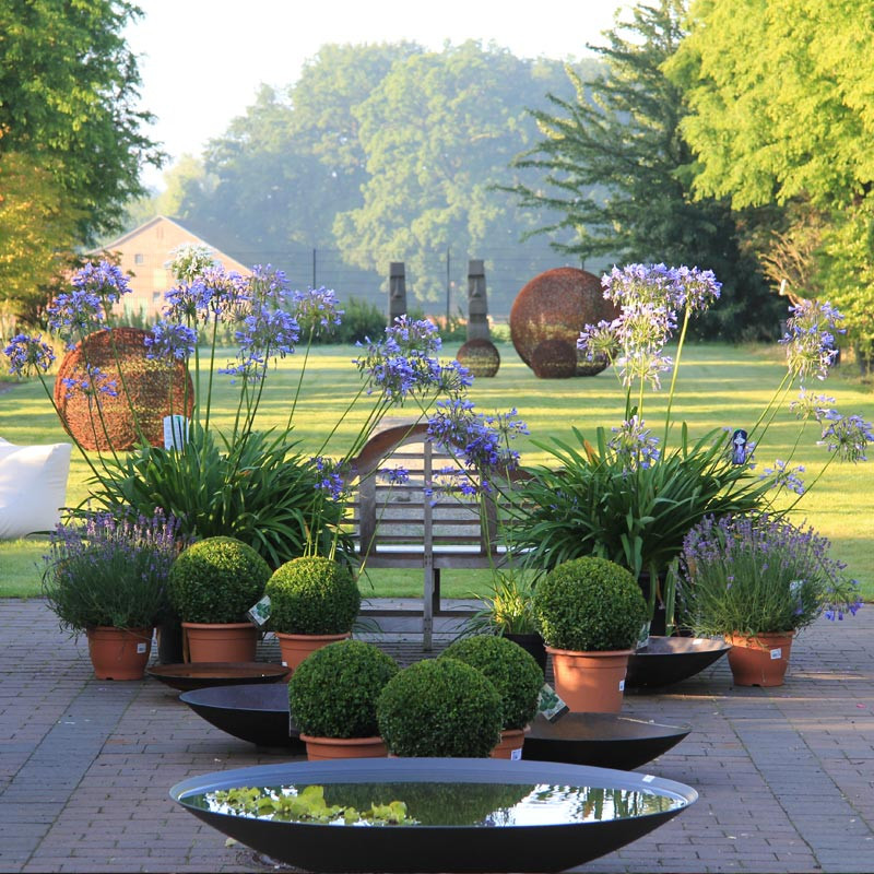 Garten Von Ehren
 Über uns Garten von Ehren der Gartenmarkt in Hamburgs