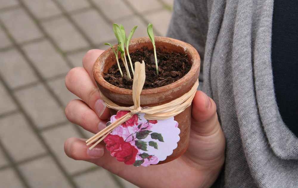 Gastgeschenke Hochzeit
 Hochzeit DIY Gastgeschenke selbermachen Ideensammlung