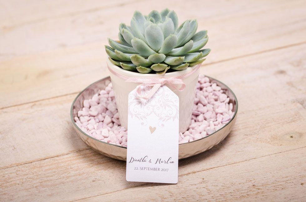 Gastgeschenke Hochzeit Ideen
 19 Ideen für kreative Gastgeschenke zur Hochzeit