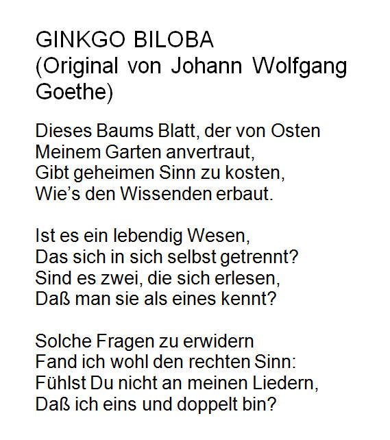 Gedicht Hochzeit Goethe
 Der Ginkgobaum inspirierte Goethe 1815 zu sem Gedicht