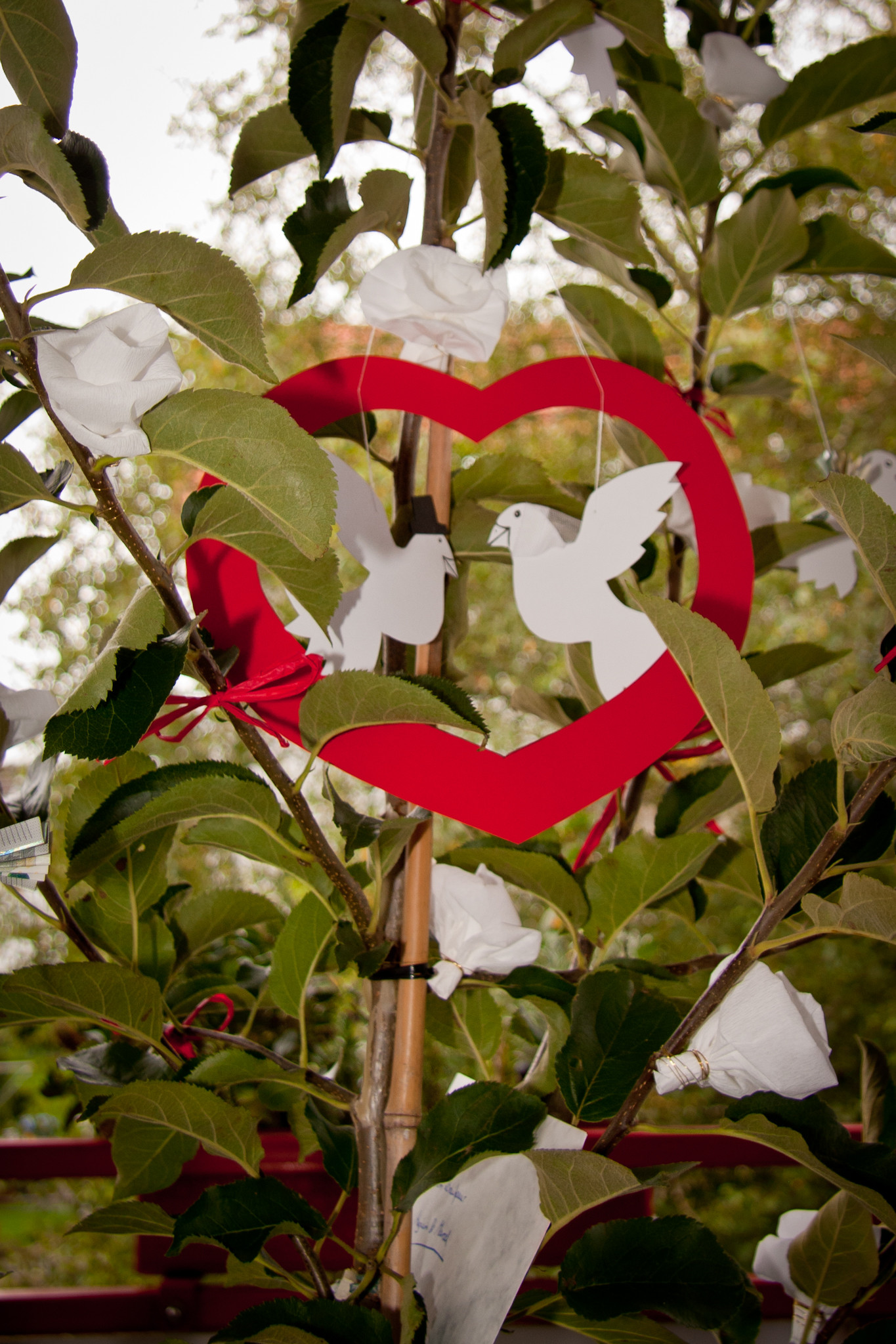 Geldgeschenk Hochzeit Basteln Baum
 Kreatives Geldgeschenk zur Hochzeit