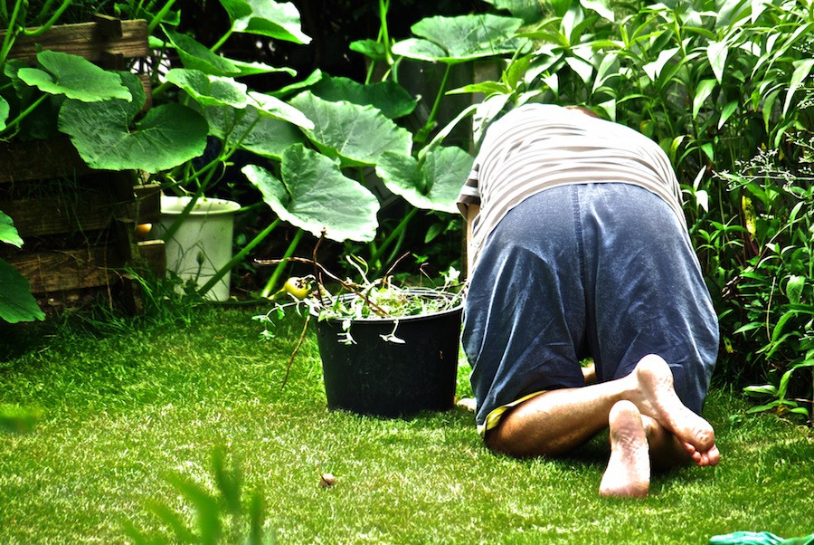 Gerät Für Gartenarbeit
 Gartenarbeit Oberpfalz Nachrichten