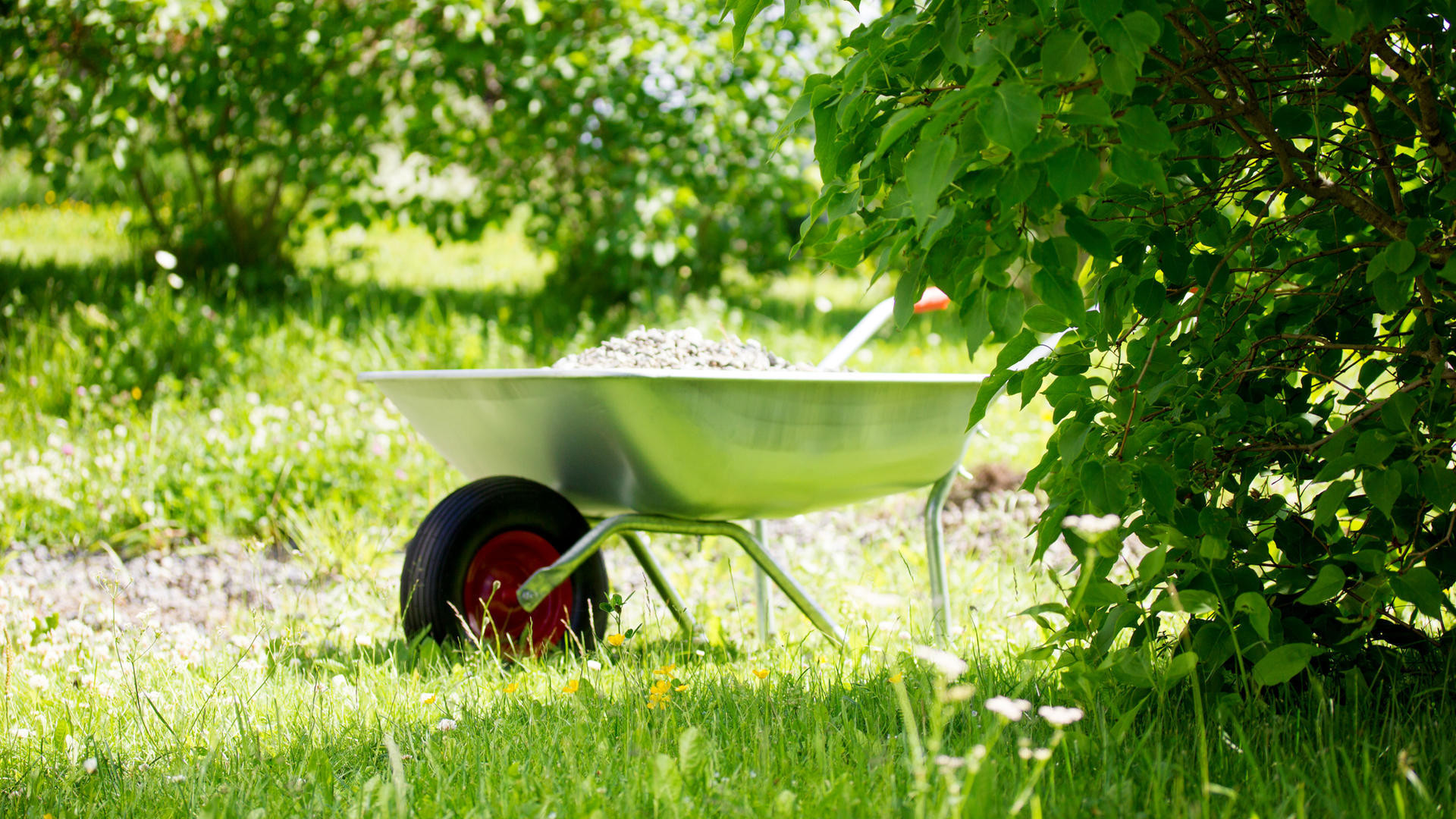 Gerät Für Gartenarbeit
 Gartenarbeit im Juli So pflegen Sie Ihren Garten