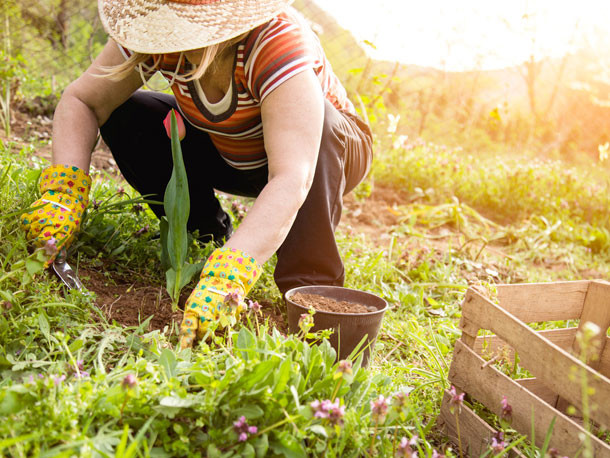 Gerät Für Gartenarbeit
 Warum Gartenarbeit Ihrer Gesundheit gut tut