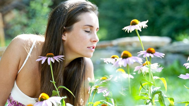 Gerät Für Gartenarbeit
 Gartenarbeit für Allergiker ohne Beschwerden durch den