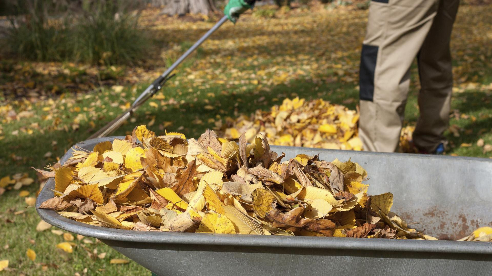 Gerät Für Gartenarbeit
 Tipps für Gartenarbeit im Herbst Sieben Aufgaben