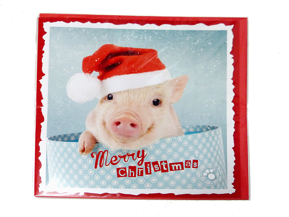 Geschenke 2018.De
 Myrna Weihnachtskarte Schweinchen Weihnachtsartikel