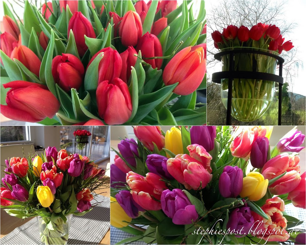 Geschenke Durch Offene Fenster Ins Haus Geworfen
 Ein Sonn en tags Spaziergang ⋆ einfach Stephie