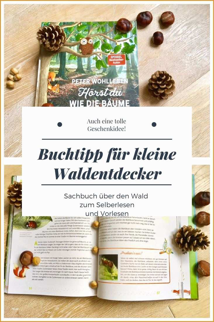 Geschenke Eltern Weihnachten
 Geschenke Zu Weihnachten Für Eltern Elegante Die Besten 25