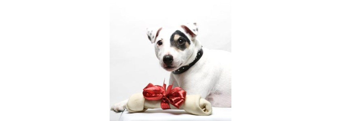 Geschenke Für Hundeliebhaber
 Geschenke für Hundeliebhaber Home Accessoires für