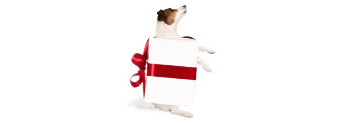 Geschenke Für Hundeliebhaber
 Geschenke für Hundeliebhaber online kaufen
