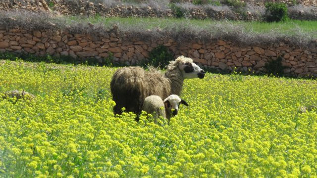 Geschenke Für Landwirte
 Geschenke für Landwirte GeschenkeZapp