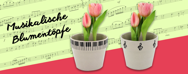 Geschenke Für Musiker
 Geschenke für Musiker Originelle Geschenkideen