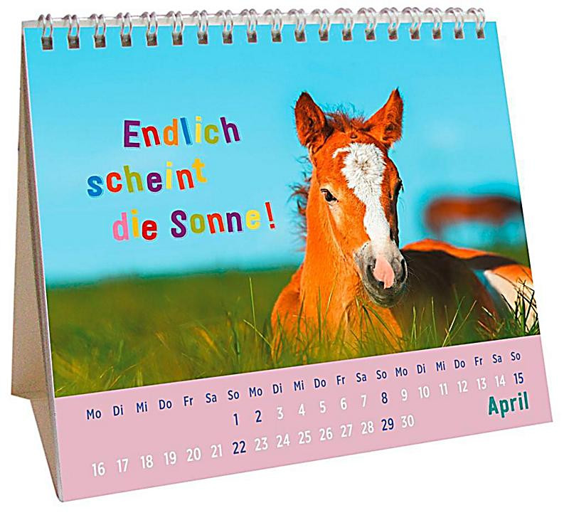 Geschenke Für Pferdefans
 Für kleine Pferdefans 2018 Kalender bei Weltbild