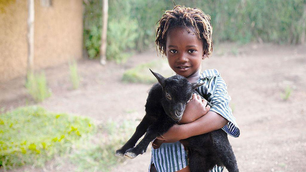 Geschenkideen Für Familien
 Ziegen für Familien im Sudan