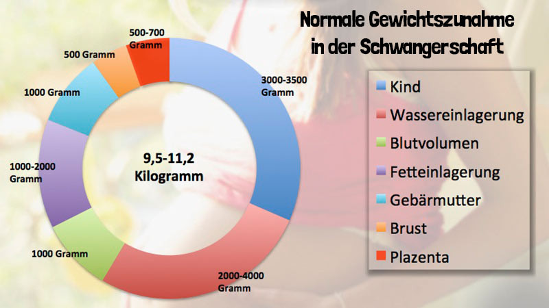 Gewichtszunahme Schwangerschaft Tabelle
 Gewichtszunahme in der Schwangerschaft Liebe Hebamme