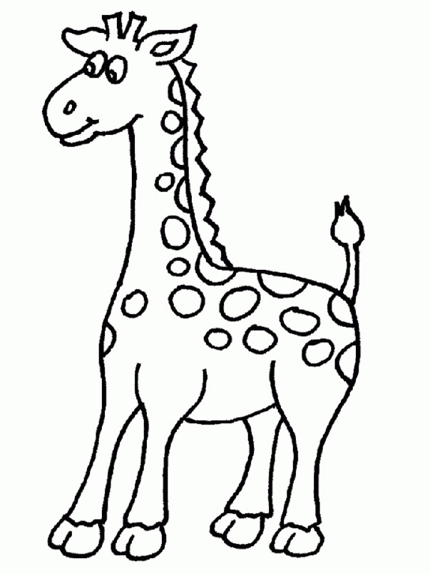 Giraffe Ausmalbilder
 Giraffen Malvorlagen 2