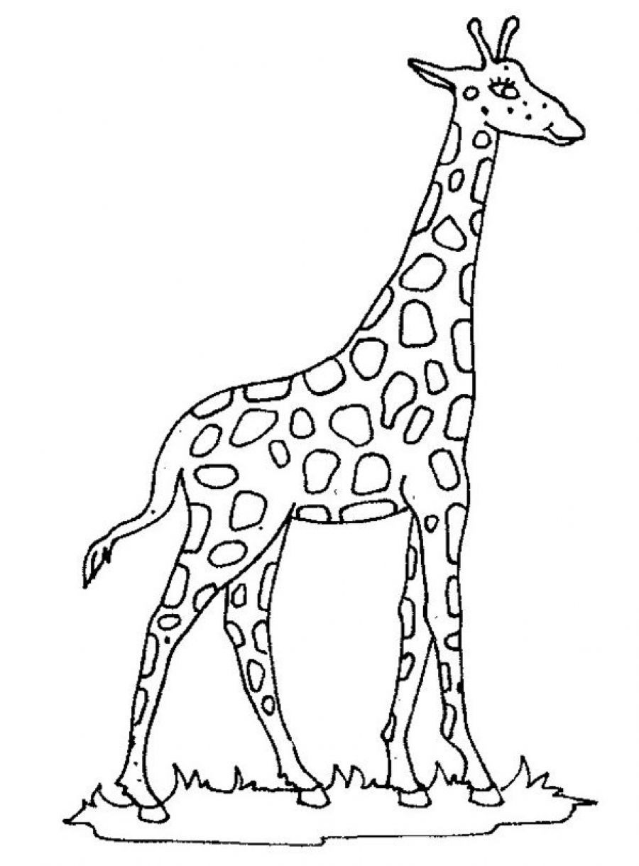 Giraffe Ausmalbilder
 Malvorlagen fur kinder Ausmalbilder Giraffe kostenlos