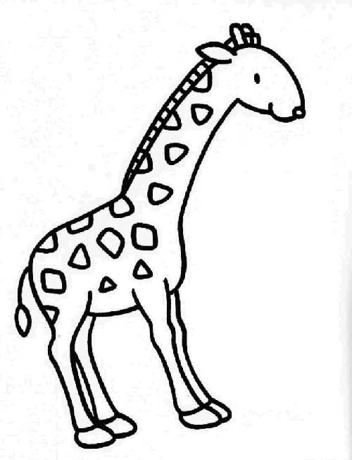 Giraffen Ausmalbilder
 30 Desenhos de Girafa para Pintar Colorir e Imprimir