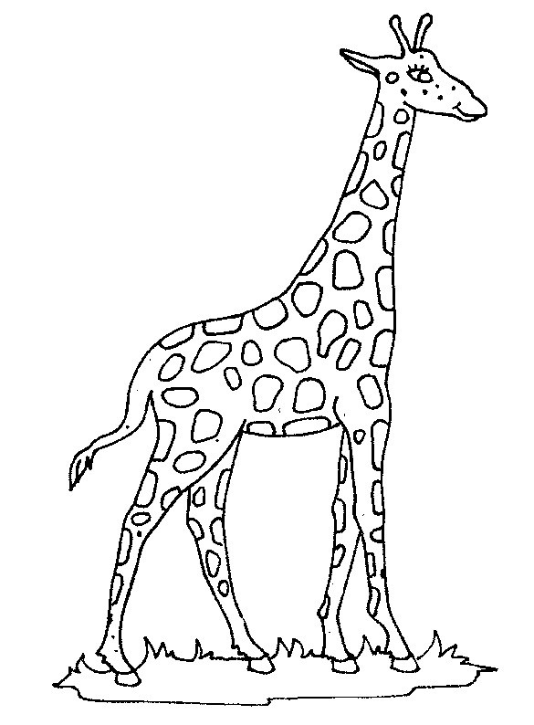 Giraffen Ausmalbilder
 Kids n fun