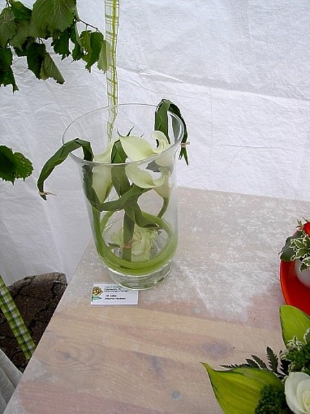 Gläserne Hochzeit
 Tanja s Blumenstube Blumen & Floristik in Stuttgart