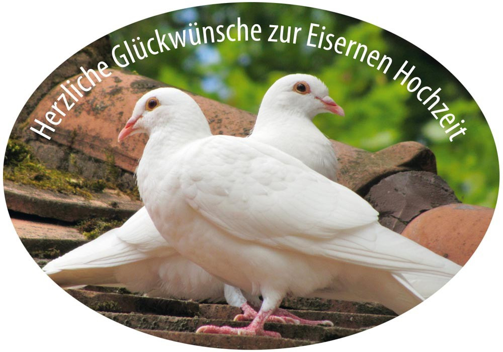 Glückwünsche Eiserne Hochzeit
 Grußaufkleber Herzliche Glückwünsche zur Eisernen Hochzeit 8