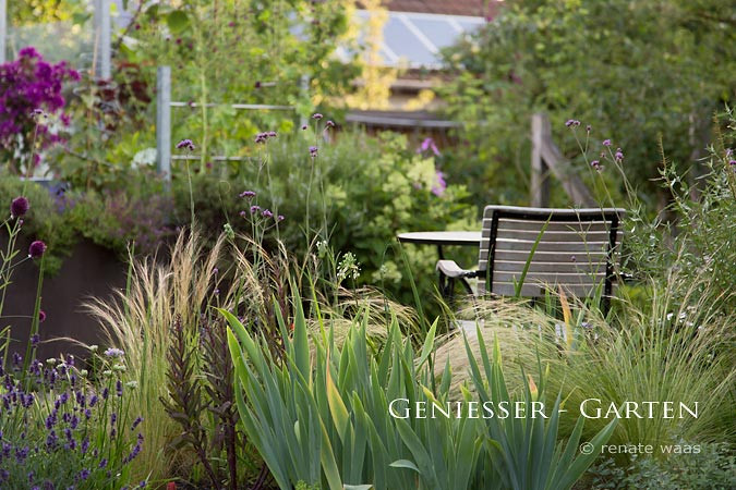 Gräser Garten
 Gartenblog zu Gartenplanung Gartendesign und