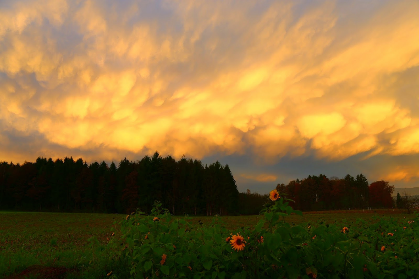 Grünes Licht Am Himmel
 Laufend unterwegs Grünes Licht