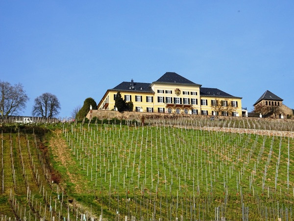 Gutsschänke Schloss Johannisberg
 Schloss Johannisberg Wiesbaden Germany