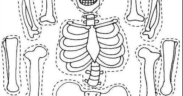 Halloween Ausmalbilder Skelett
 halloween ausmalbilder skelett 04