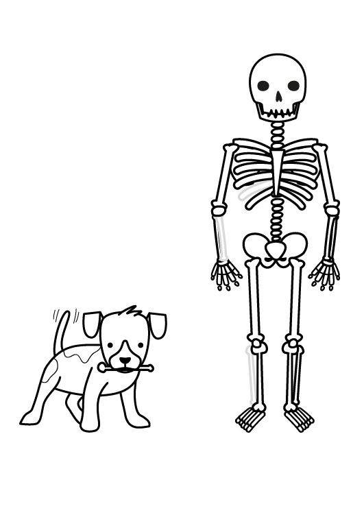 Halloween Ausmalbilder Skelett
 Kostenlose Malvorlage Halloween Skelett und Hund ausmalen