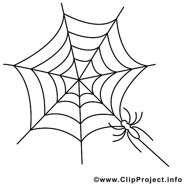 Halloween Ausmalbilder Spinne
 Spinne Ausmalbild gratis zum Ausdrucken