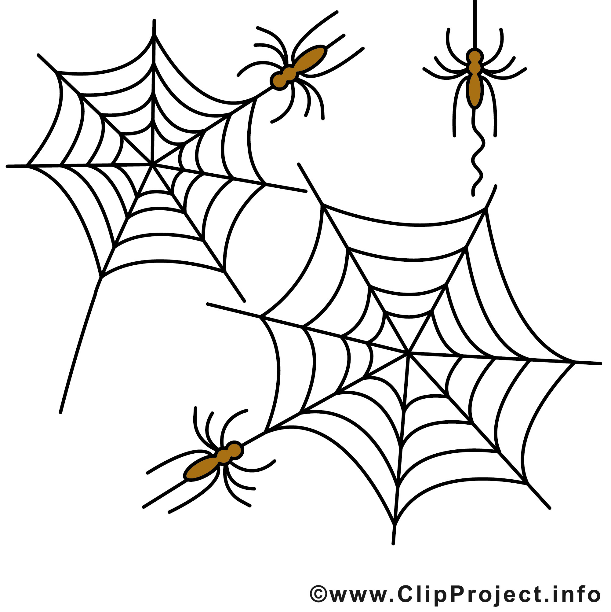 Halloween Ausmalbilder Spinne
 Spinnen Clipart