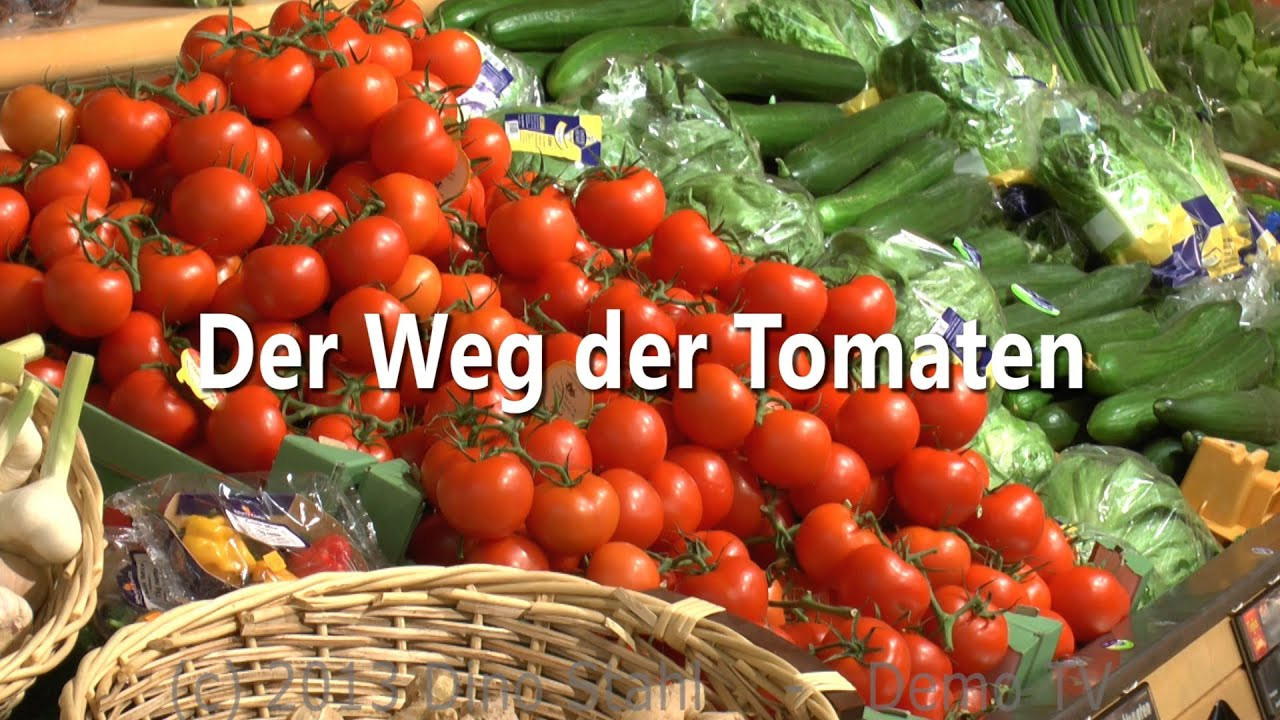 Hamburger Tafel
 Der Weg der Tomaten ein über Arbeit der
