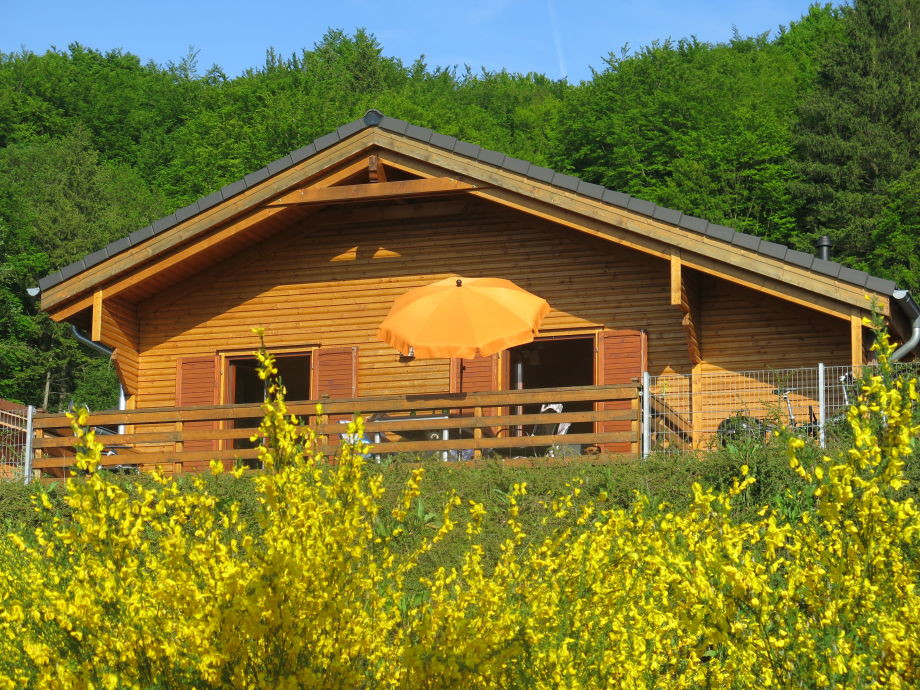 Haus Am Waldsee
 Ferienhaus Haus Mühlenblick am Waldsee Eifel Vordereifel