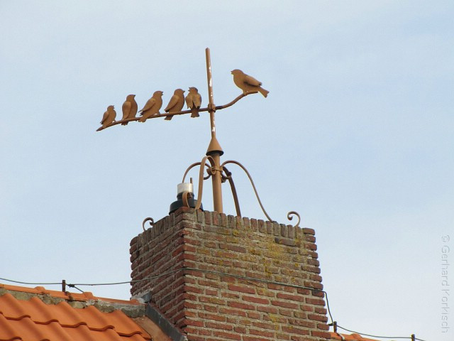 Haus Bremen Juist
 Windfahnen auf den Dächern von Juist