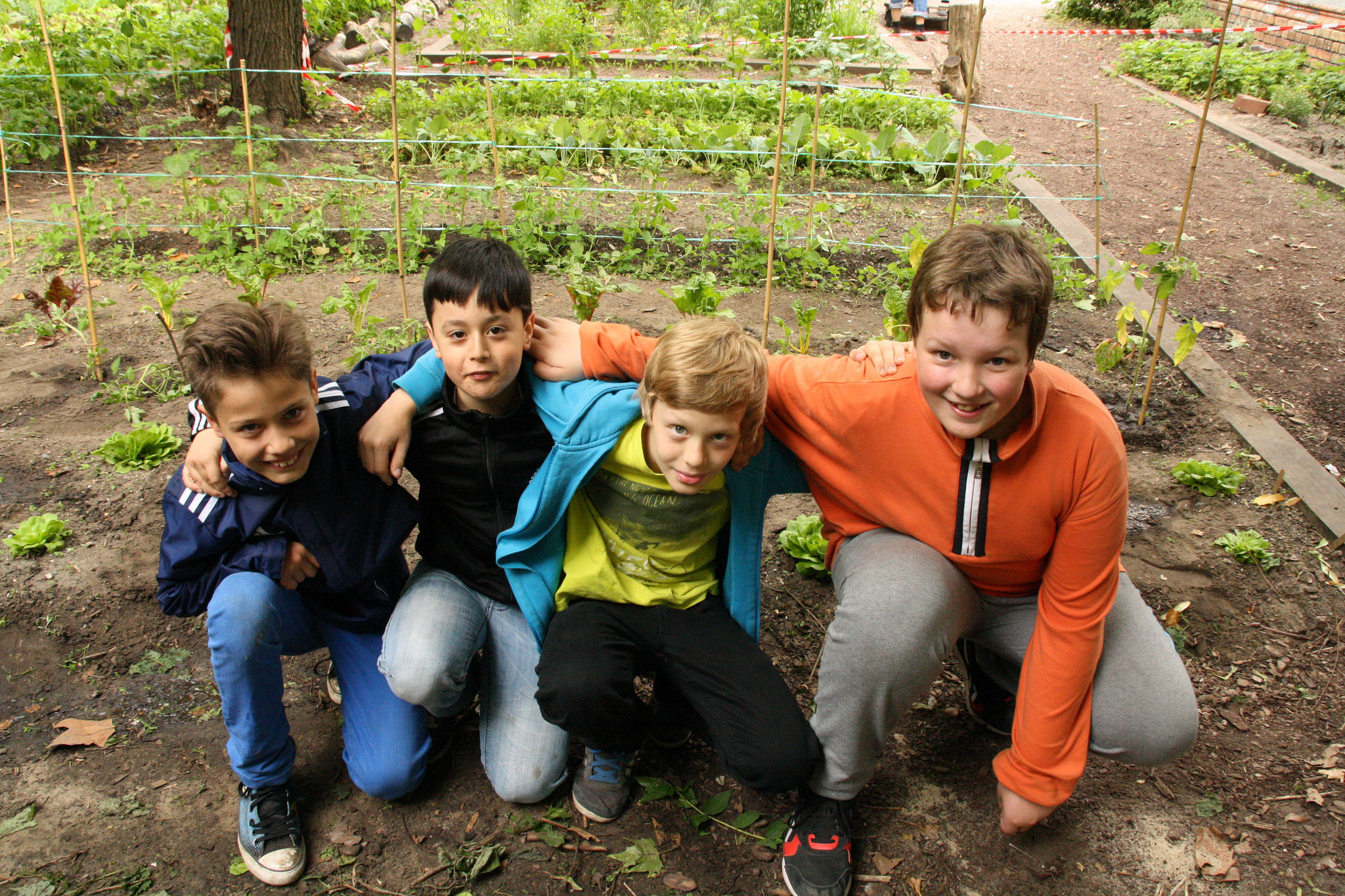 Haus Der Jugend Montabaur
 Ackerdemie für junges Gemüse Gartenprojekt mit