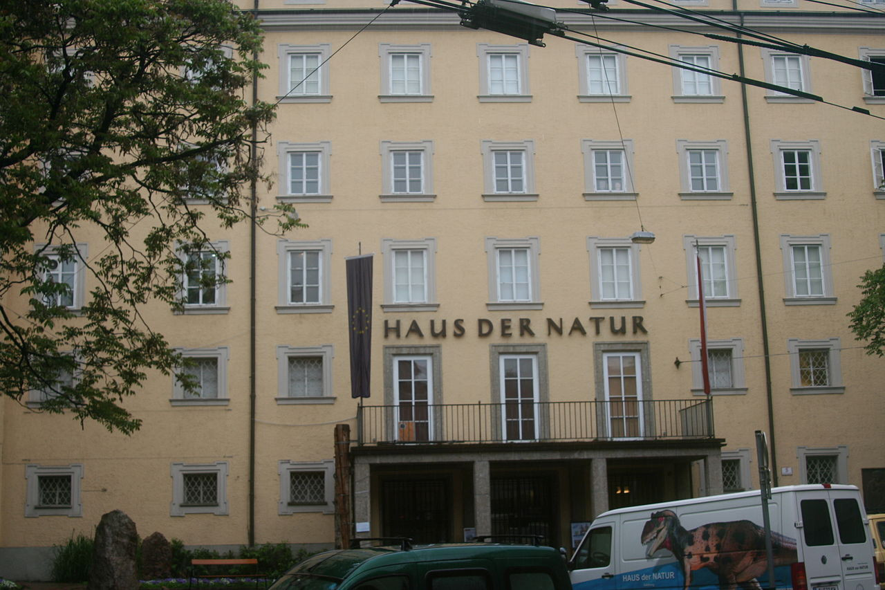 Haus Der Natur Goldisthal
 File Haus der Natur Salzburg JPG Wikimedia mons