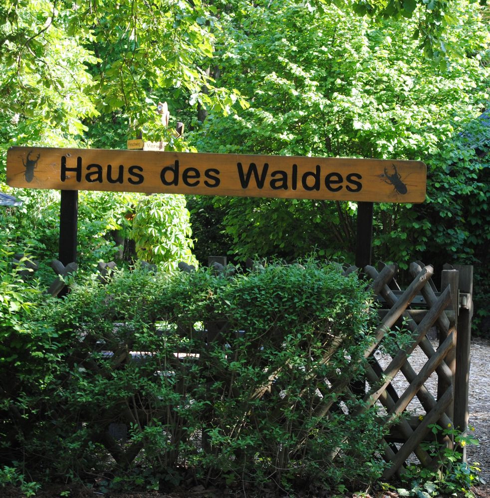 Haus Des Waldes
 Herbstwerk im Haus des Waldes Naturpark Dahme Heideseen