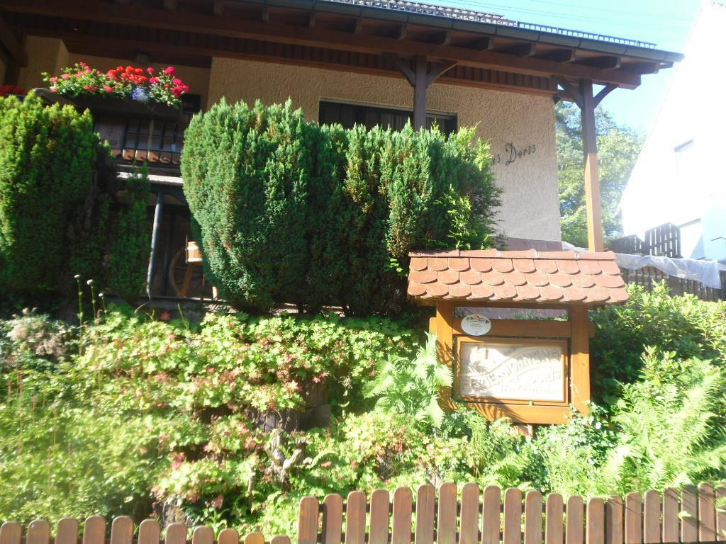 Haus Doris
 Haus Doris Blick zur Burg Weis Appartement Fewo Dusche