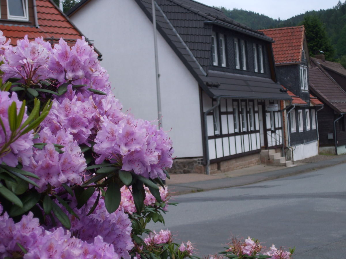 Haus Doris
 Ferienwohnung mit Terrassen und Garten Niedersachsen