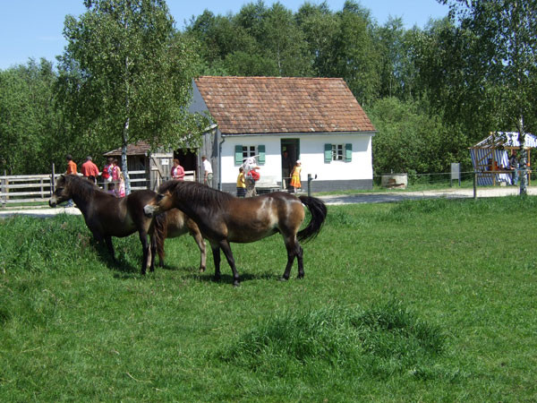 Haus Im Moos
 Ausgezeichneter Partner Umweltbildungsstätte HAUS im MOOS