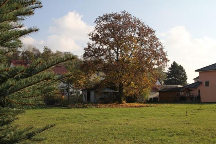 Haus Kaufen Borna
 Grundstueck kaufen in Borna