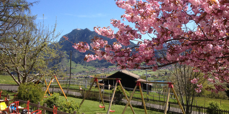 Haus Kühberg
 Mutterkindkur Haus Kühberg