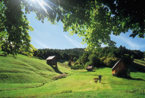 Haus Suchen
 Die Besten Ideen Für Haus Suchen – Beste Wohnkultur