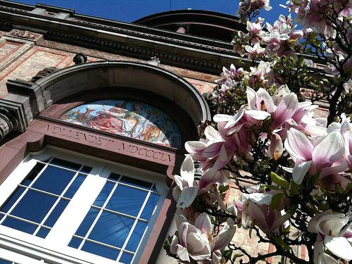 Haus Und Grund Karlsruhe
 Magnolien Haus 2 Pinterest Karlsruhe Und Garten