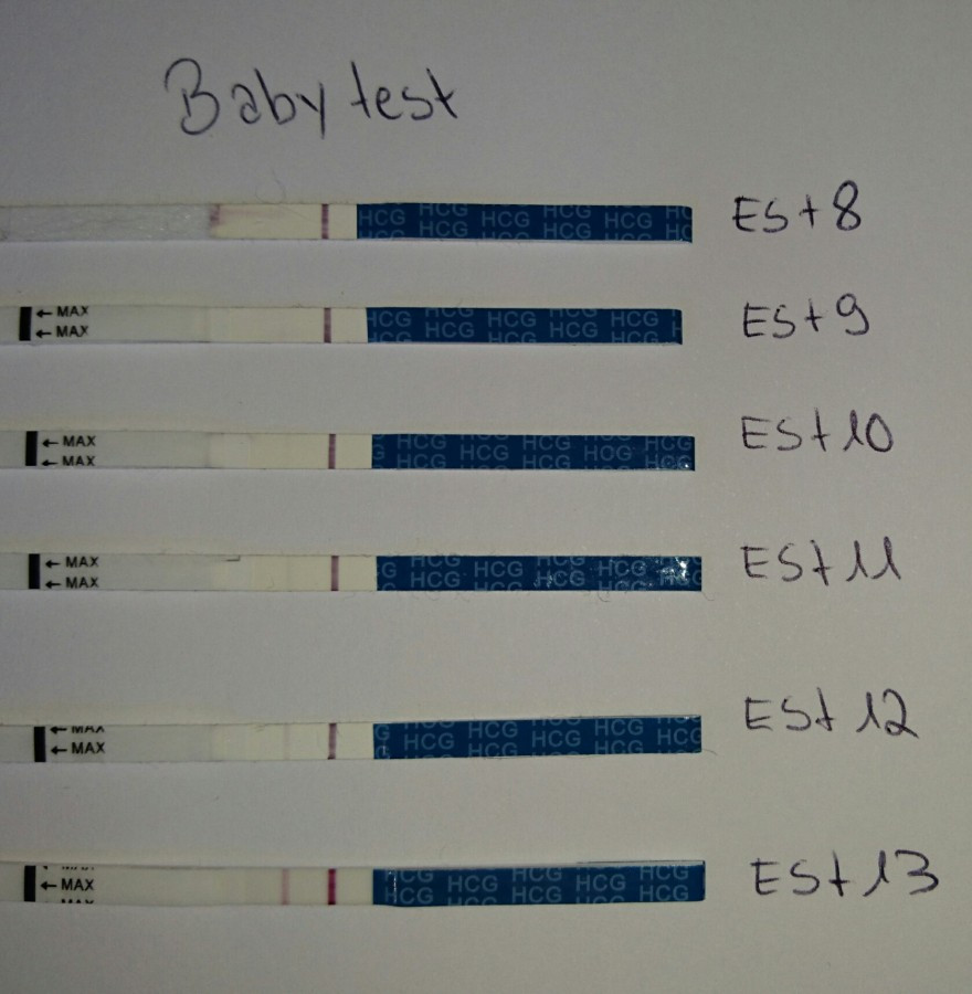 Hcg Tabelle Urin
 Testreihe ES 8 ES 13 Projekt Baby